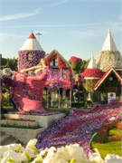 035-Miracle_Garden_Dubai