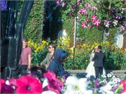 038-Miracle_Garden_Dubai