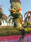 039-Miracle_Garden_Dubai