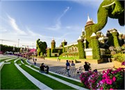 041-Miracle_Garden_Dubai