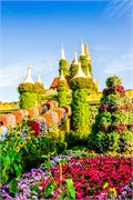 044-Miracle_Garden_Dubai