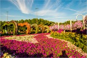 045-Miracle_Garden_Dubai