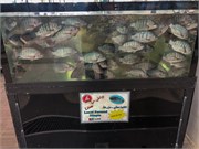 035-Sharjah_UAE