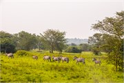 003-LakeMburo