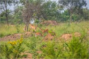 015-LakeMburo