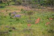 018-LakeMburo