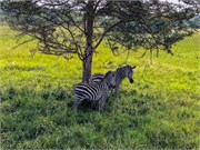 022-LakeMburo