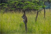 026-LakeMburo
