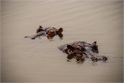 041-LakeMburo