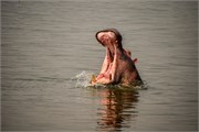 045-LakeMburo
