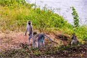 046-LakeMburo