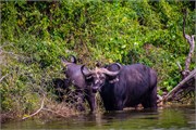 060-LakeMburo