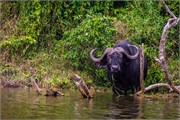 061-LakeMburo
