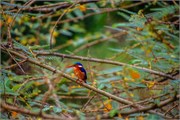 064-LakeMburo