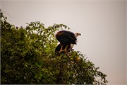067-LakeMburo