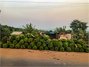 003-DriveUganda1