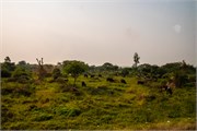 048-DriveUganda1