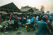 001-Drive2Bwindi