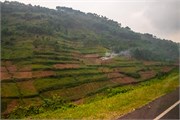 039-Drive2Bwindi