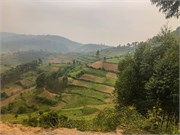 050-Drive2Bwindi