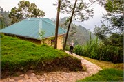 063-Drive2Bwindi