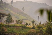 071-Drive2Bwindi