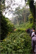 008-Bwindi