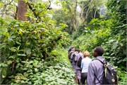 010-Bwindi