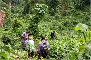 023-Bwindi