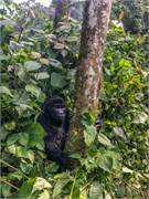 042-Bwindi