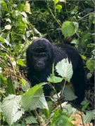 051-Bwindi