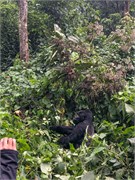 057-Bwindi