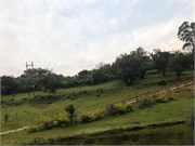 032-LakeBunyonyi