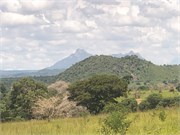 031-LilongweMalawi