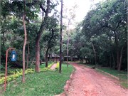 036-LilongweMalawi