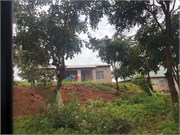 008-MzuzuMalawi