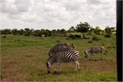 010-KrugerOrpenGate