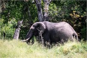 025-KrugerOrpenGate