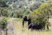 030-KrugerOrpenGate