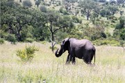 032-KrugerOrpenGate