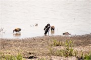 046-KrugerOrpenGate