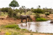 055-KrugerOrpenGate