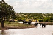 070-KrugerOrpenGate
