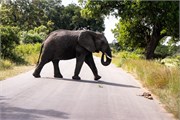072-KrugerOrpenGate
