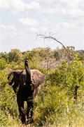 078-KrugerOrpenGate