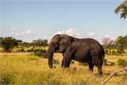 090-KrugerOrpenGate