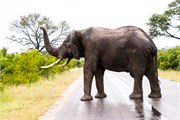 014-KrugerPhbaniGate1