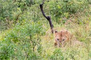 015-KrugerPhbaniGate1