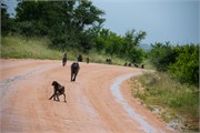 024-KrugerPhbaniGate1