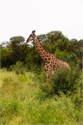 029-KrugerPhbaniGate1
